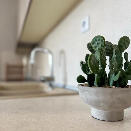 Casa De Vara 네아 포티데아